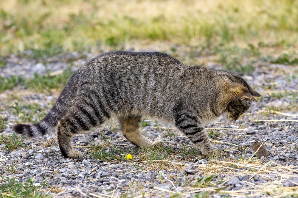 Photograph by Анастасия Петрова