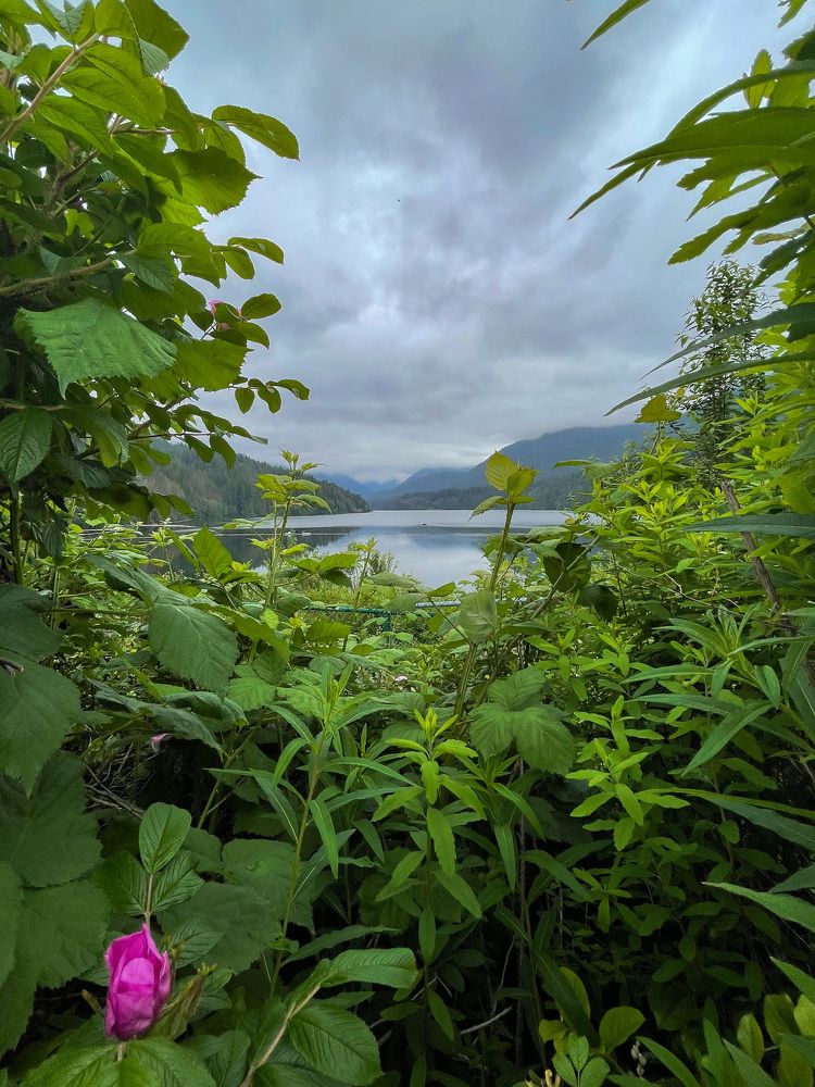 Photograph by Anton Photo