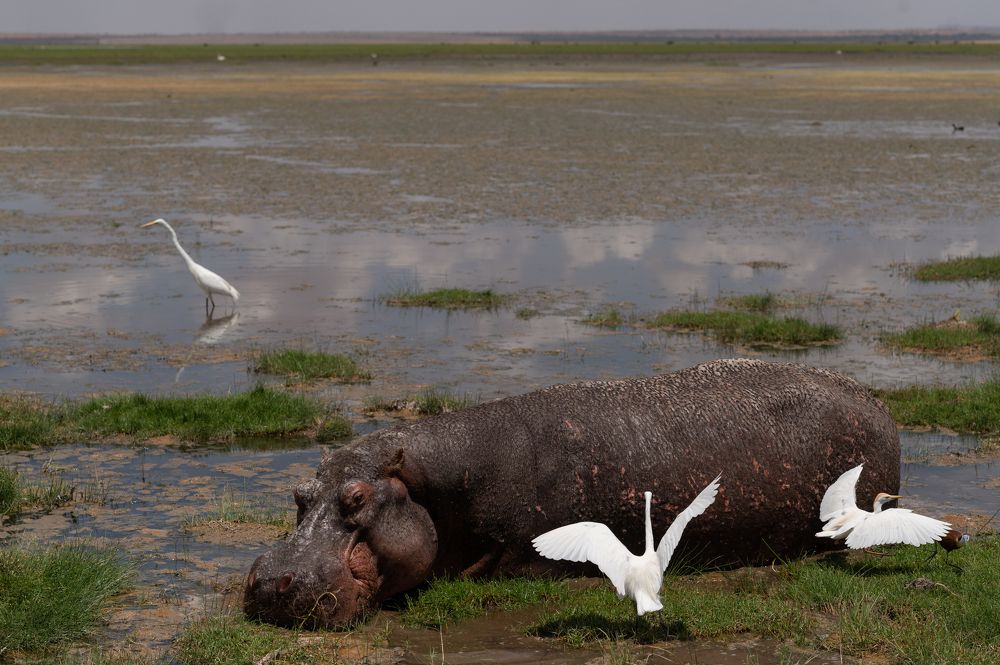 Photograph by Евгения Амелина