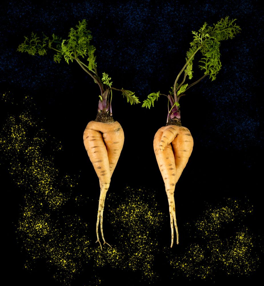 Photograph by Elena Lopatina