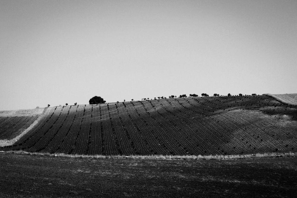 Photograph by Abder Raouf Boumaiza