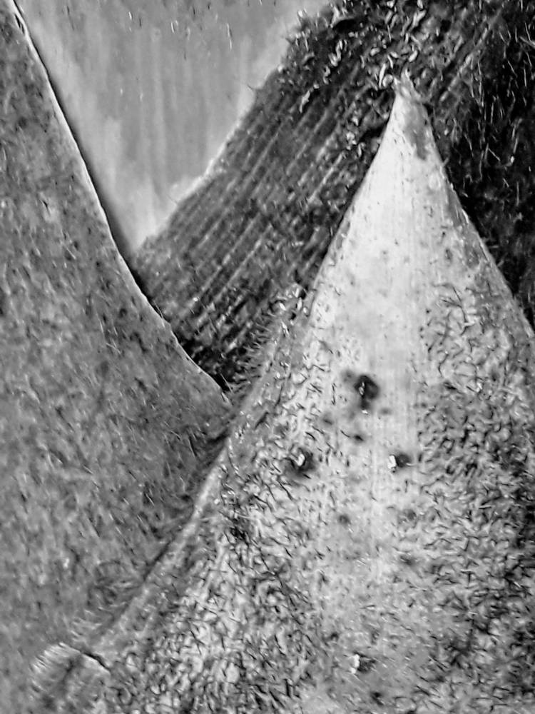 BAMBU RESERVORIOS DE AGUA Y VIDA