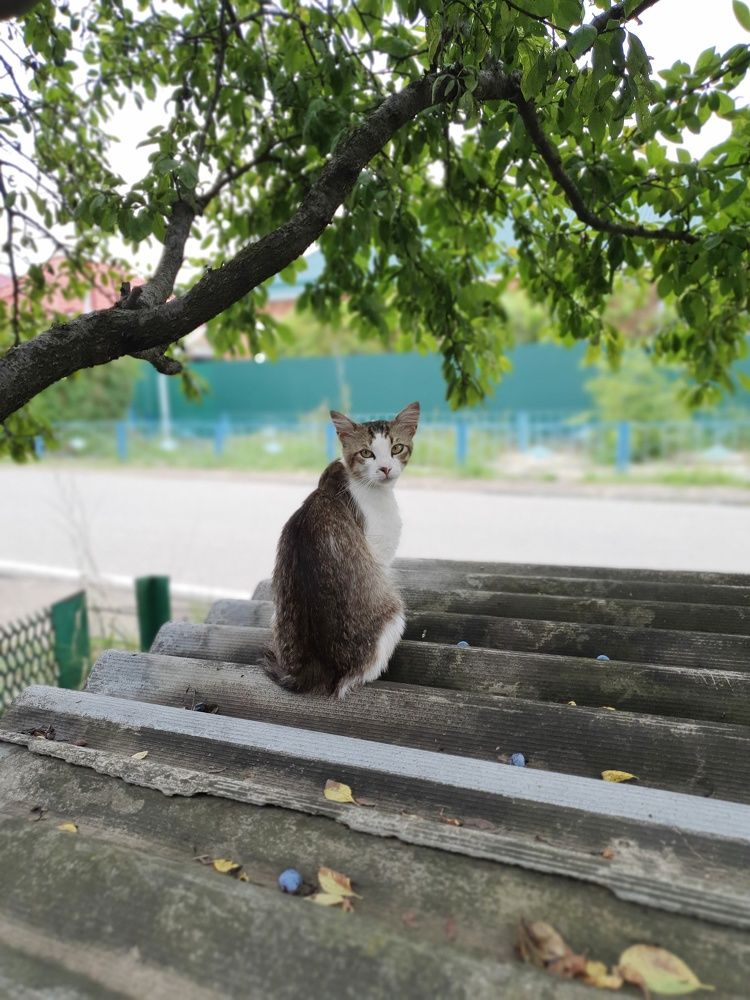 Photograph by Анастасия Трофимовская