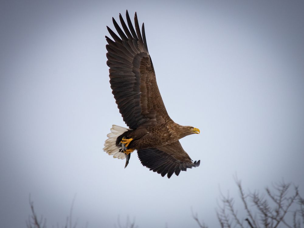 Photograph by Evgenia Loskutova