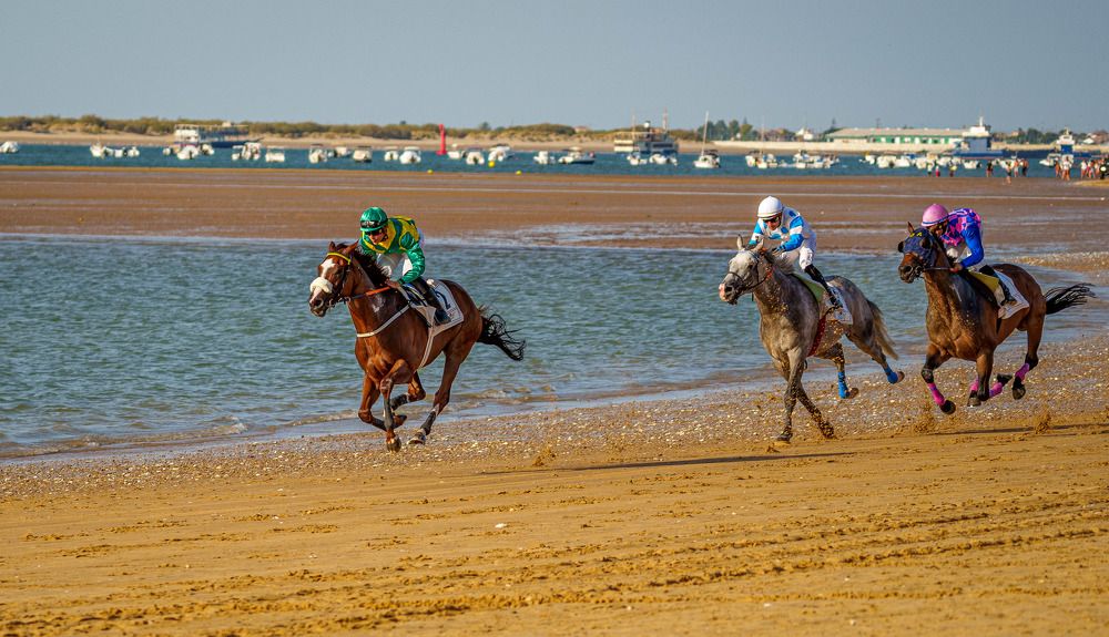 Photograph by José Antonio Gómez Mateo