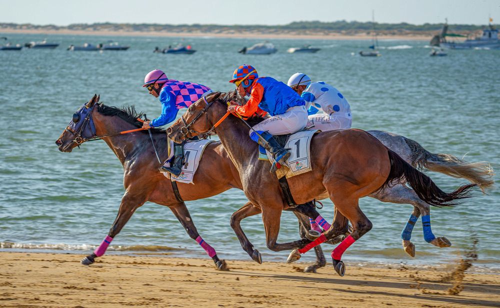 Photograph by José Antonio Gómez Mateo