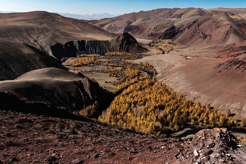 Photograph by Svetlana Zelyanina