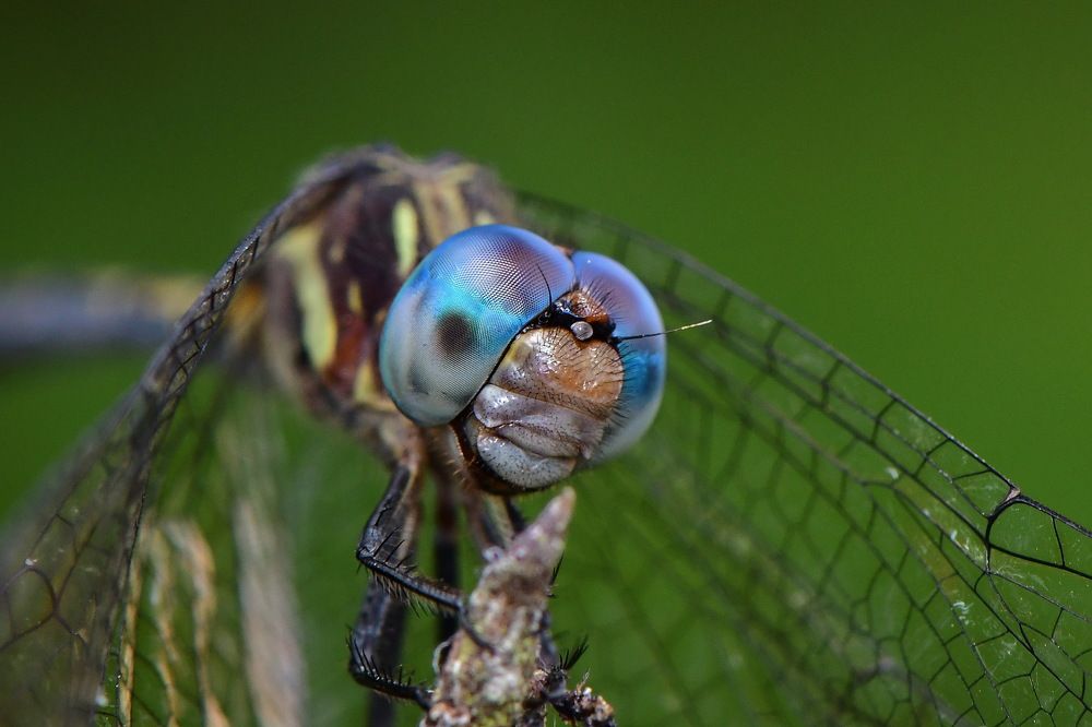 Photograph by Moura Denis