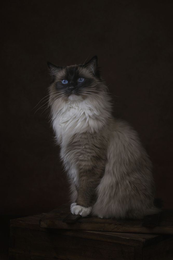 Фотография автора Natalja Bindere