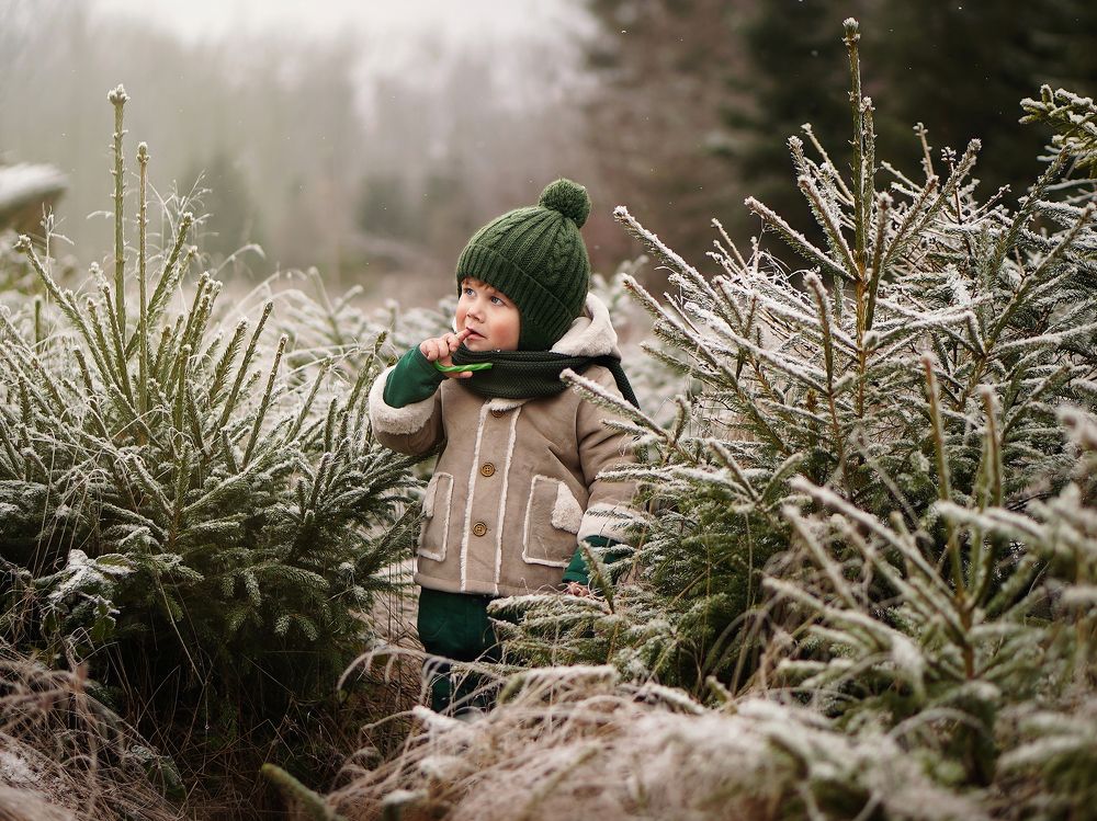 Photograph by Людмила Рубинковская