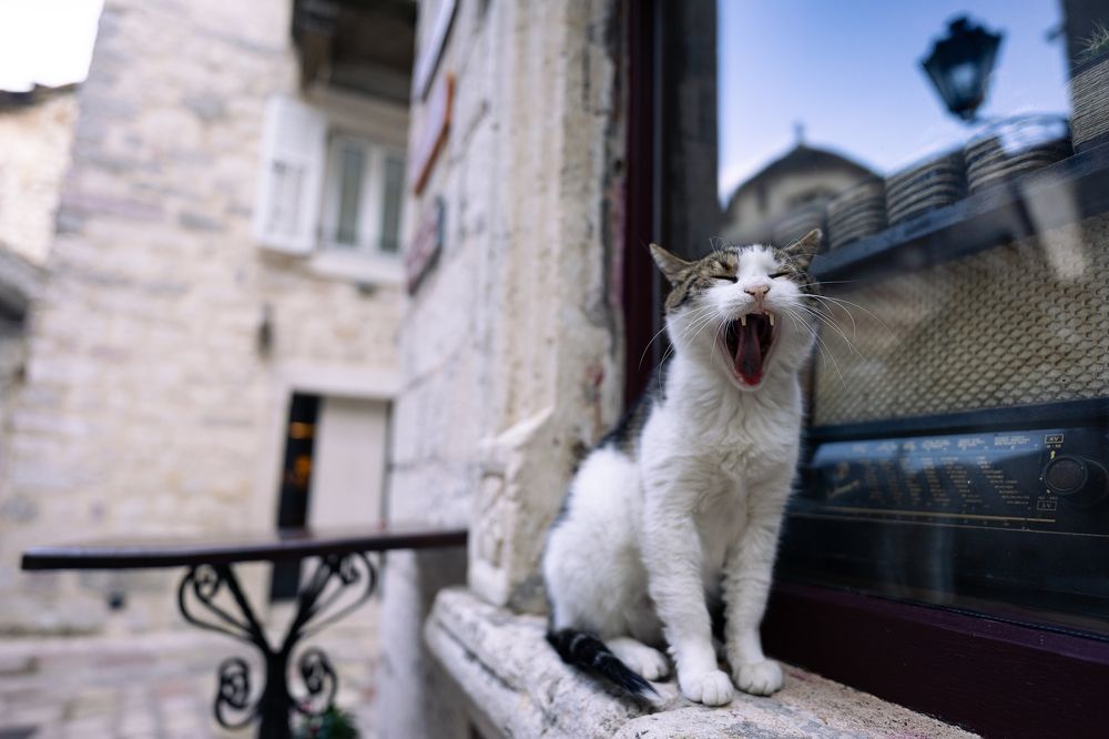 Photograph by Дмитрий Степаненко