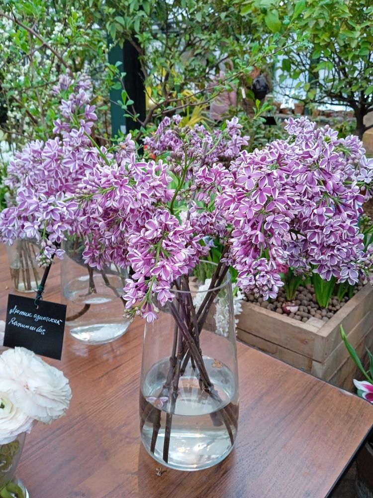 Photograph by Алия Хафизова