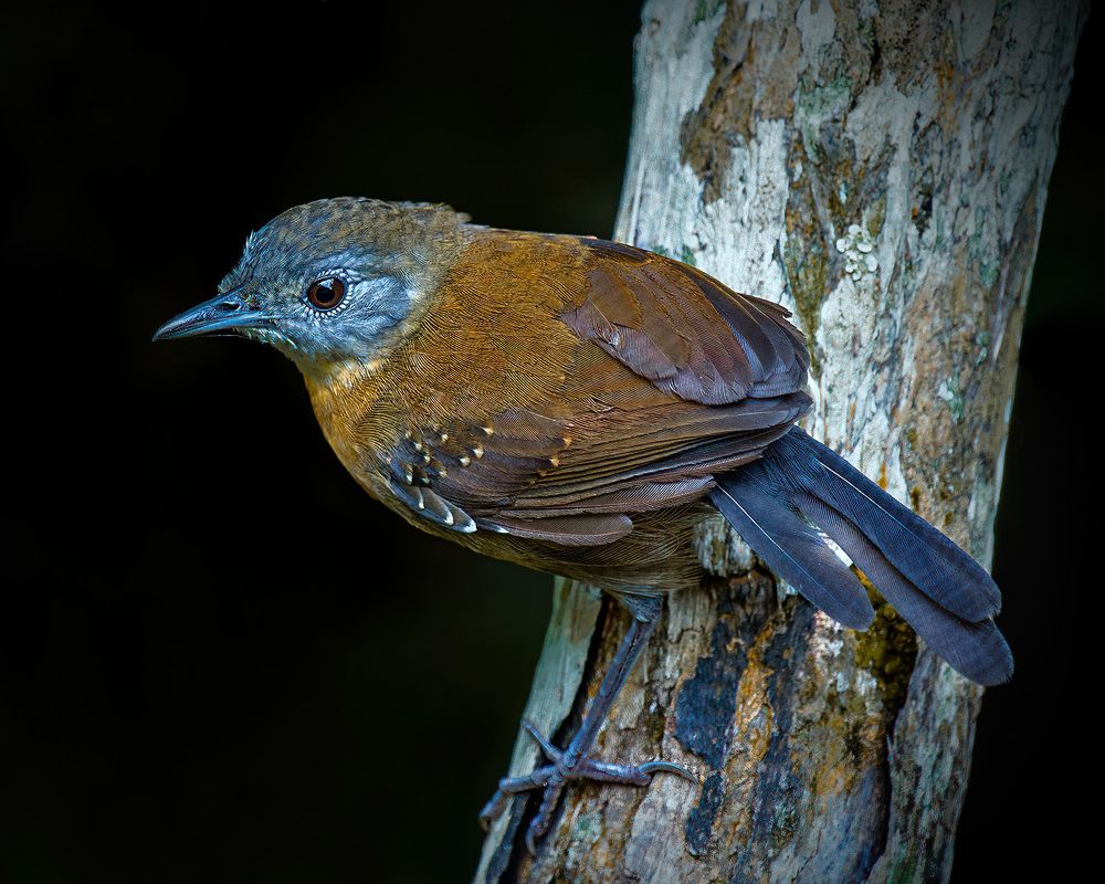 Photograph by Ademilson dos Anjos