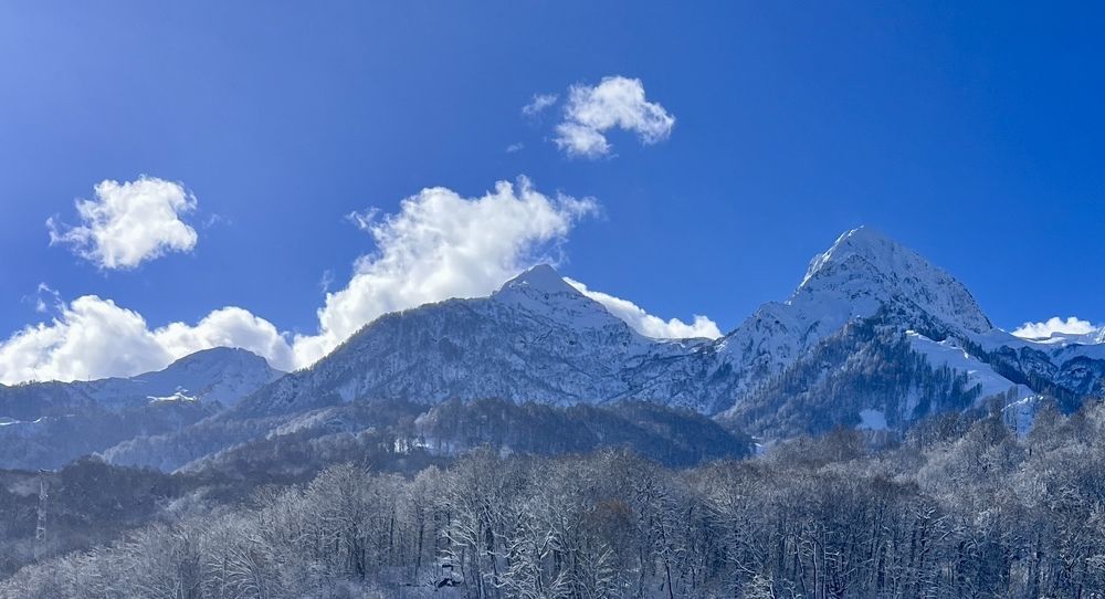 Photograph by Елена Мизина