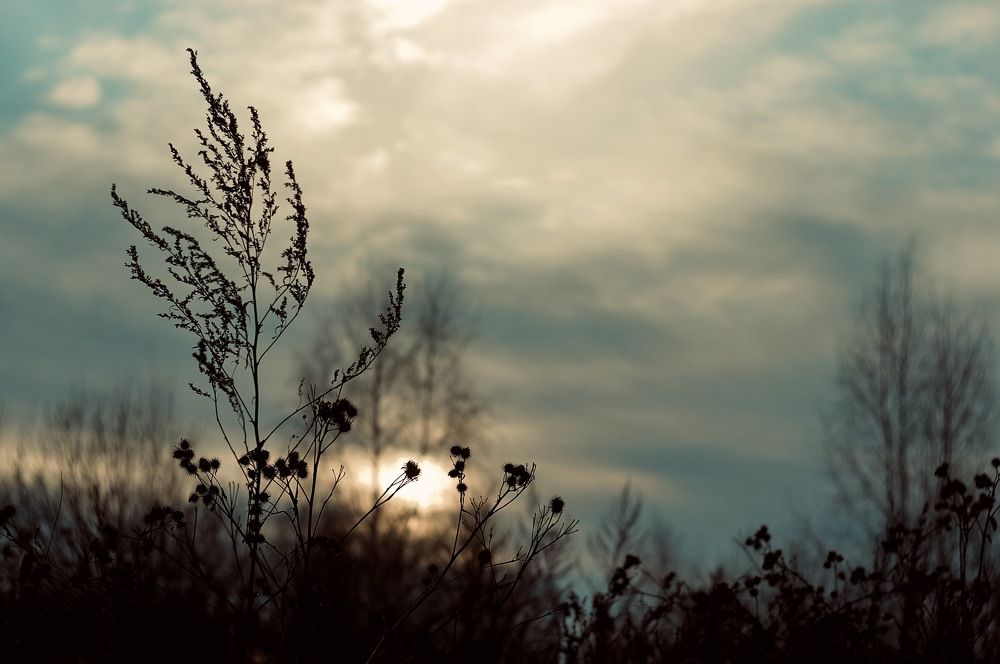 Фотография автора Колобаев Глеб