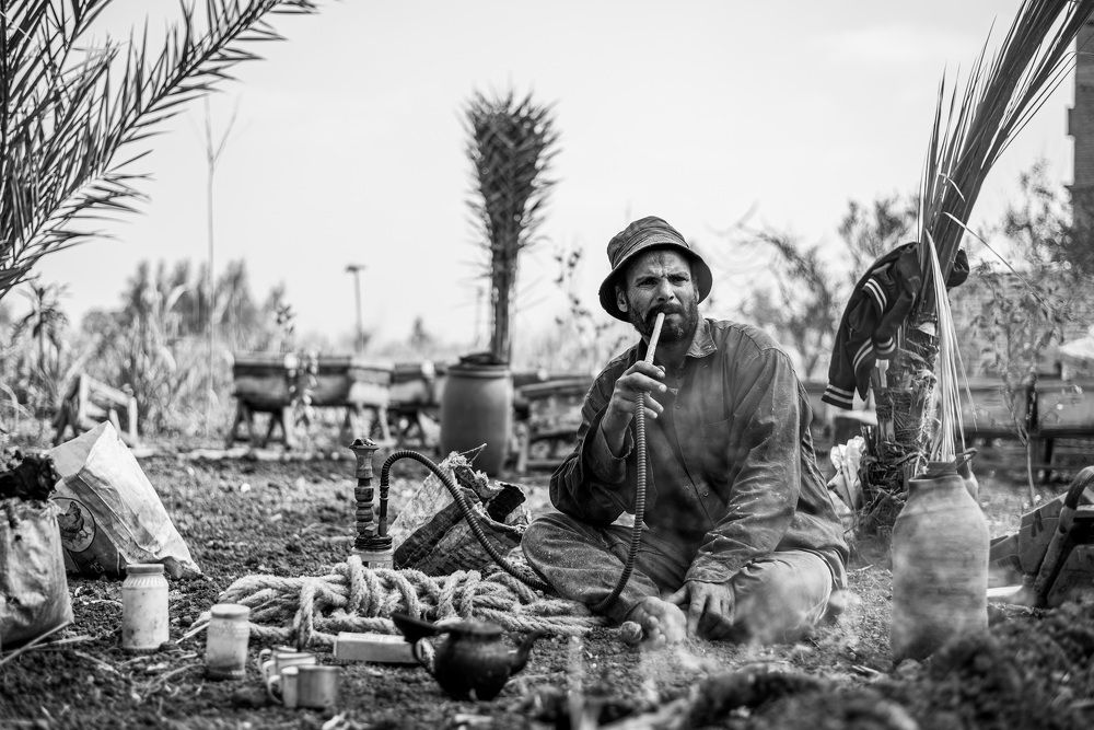 Photograph by Mahmoud Salah