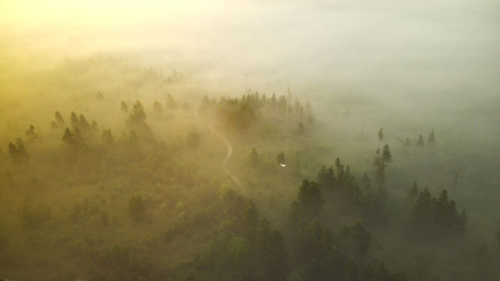 Photograph by Чураев Андрей