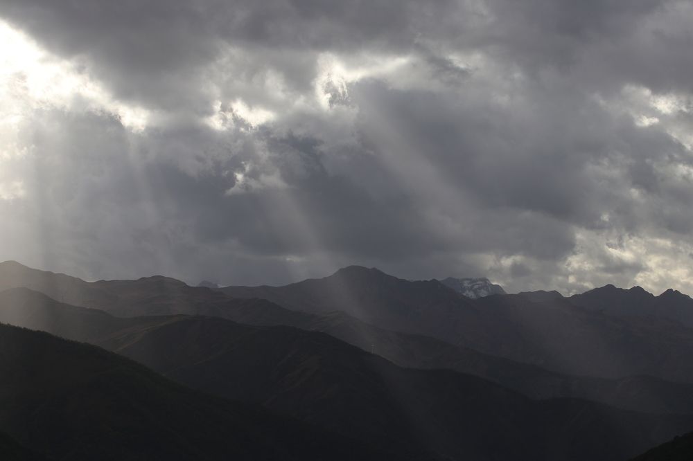 Фотография автора Татьяна Свистулина