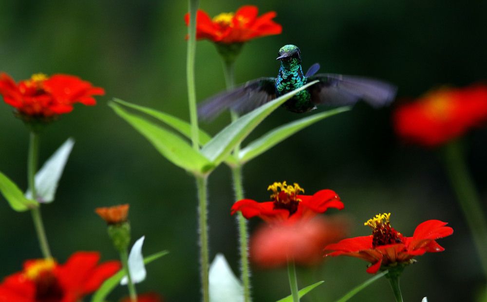 Photograph by Juan Carlos Hernández