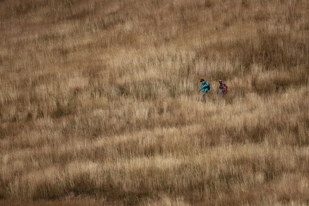 Фотография автора Татьяна Свистулина