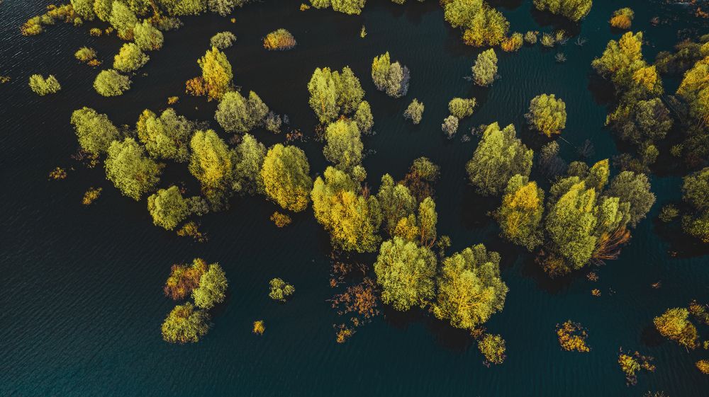 Photograph by Чураев Андрей