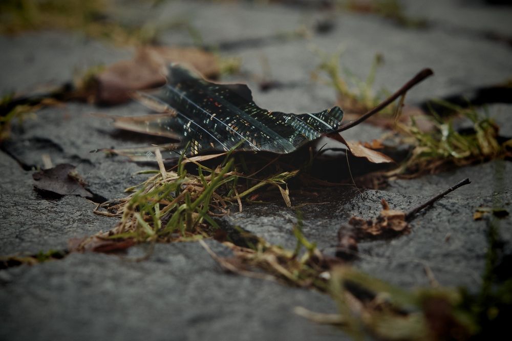 Фотография автора Колобаев Глеб