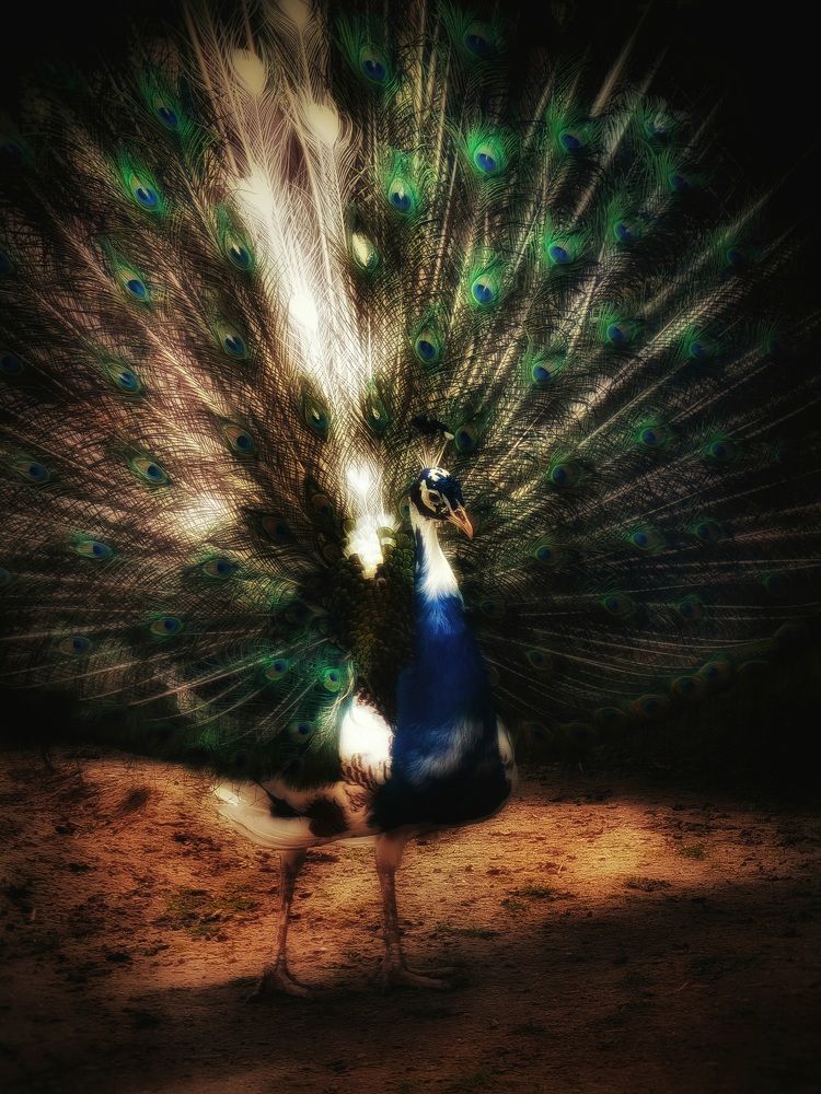 Photograph by Екатерина Цыбулькина