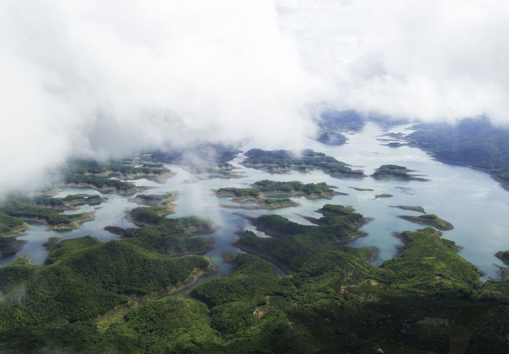 Photograph by Trung Thanh