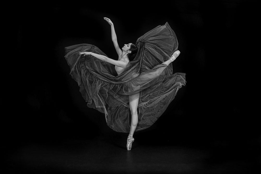 Фотография автора Ricardo Q T Rodrigues