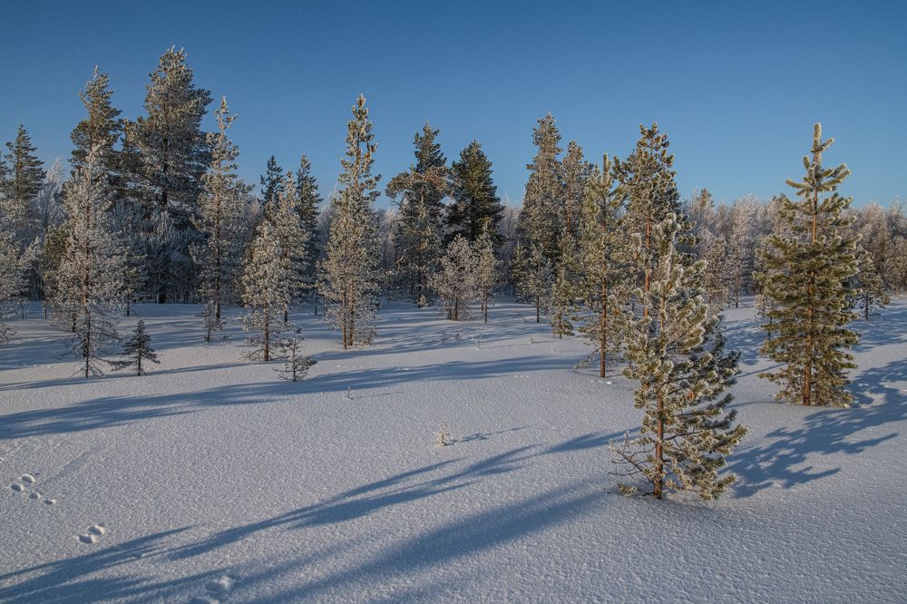 Photograph by Юрий Платухин