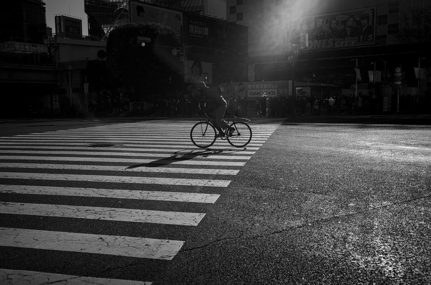 Photo #8940410
