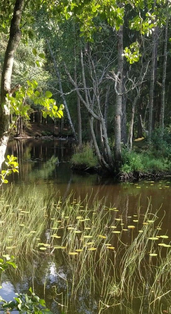 Photograph by Ольга Белик