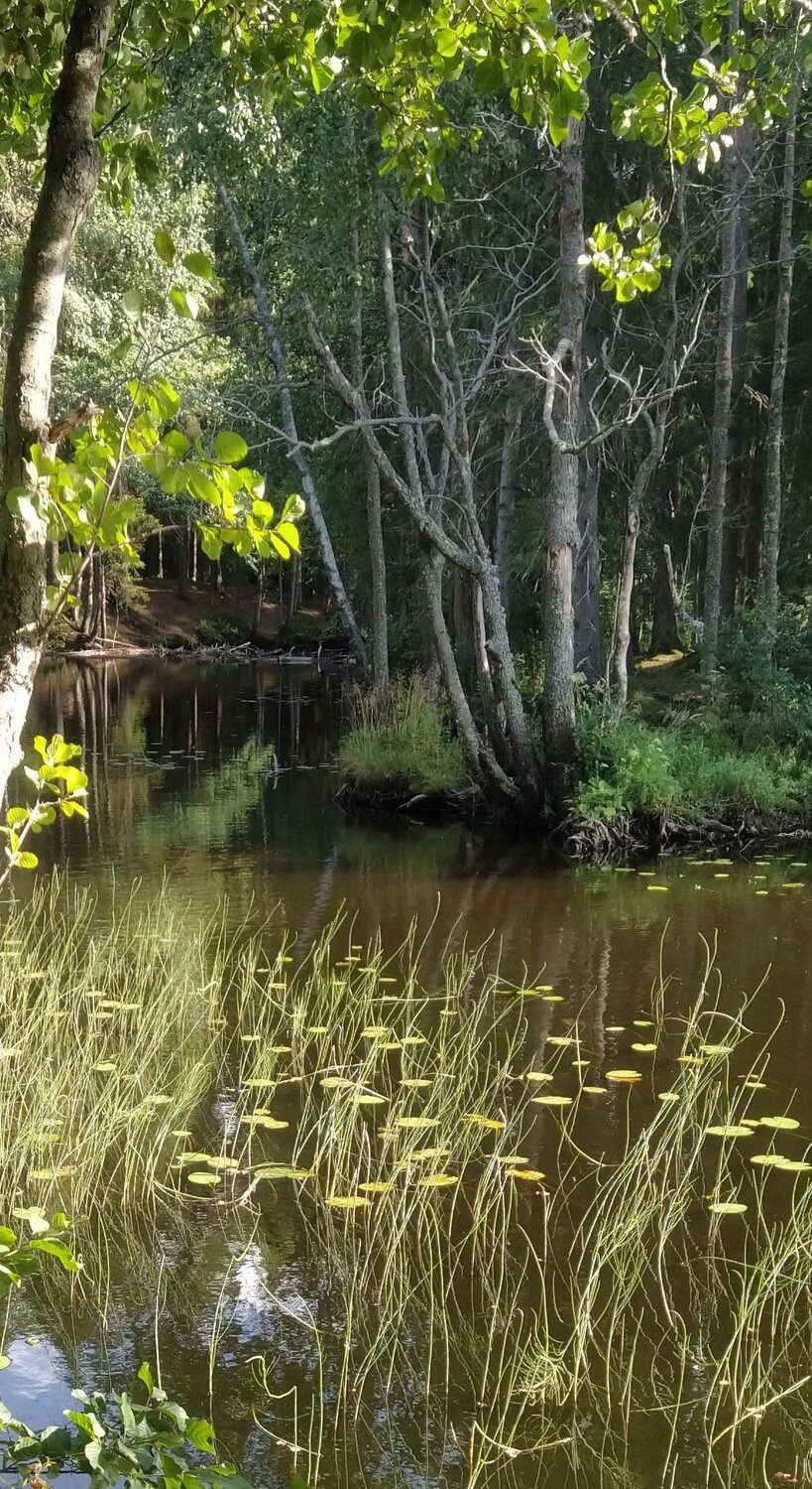 Photo #8940449