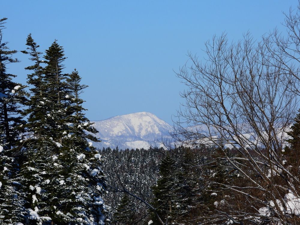 Photograph by Алексей Исаченко
