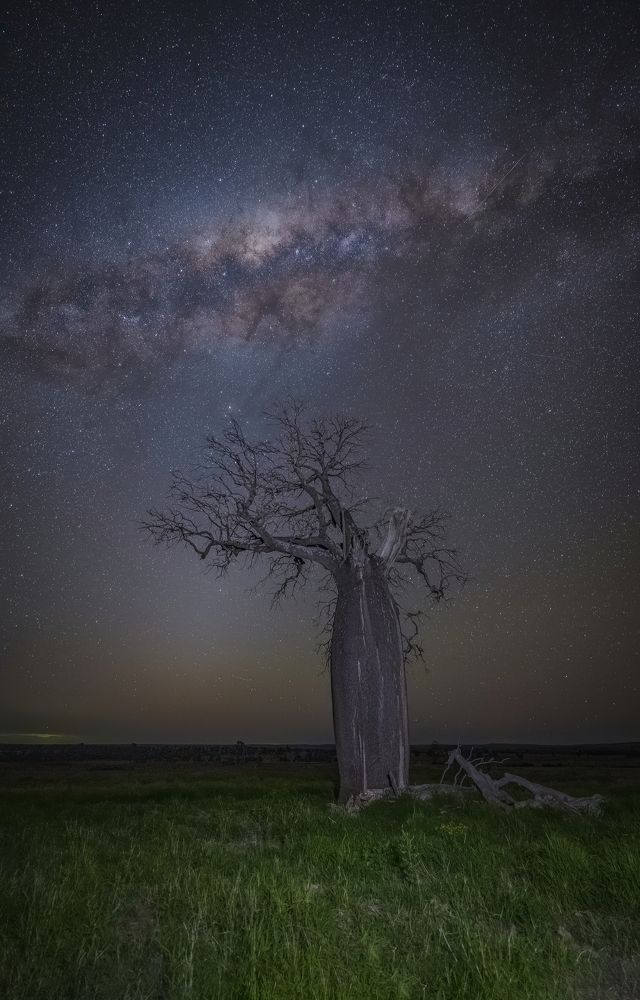 Photograph by wendy klein