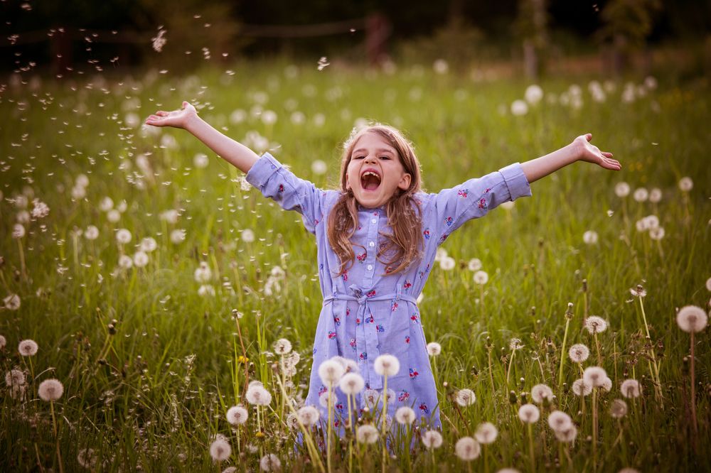 Одуванчиковая фея