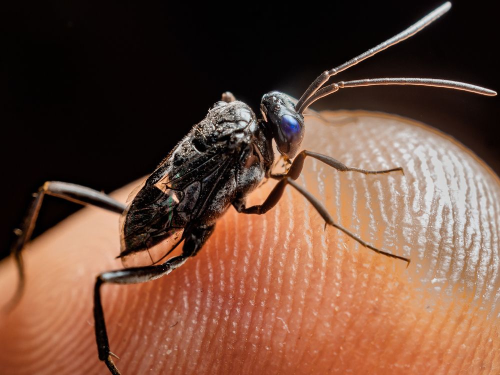 Photograph by Jose Martin Ceja Medina