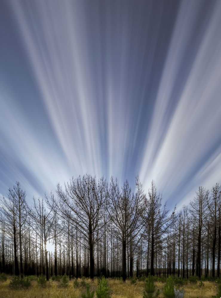 Photograph by wendy klein