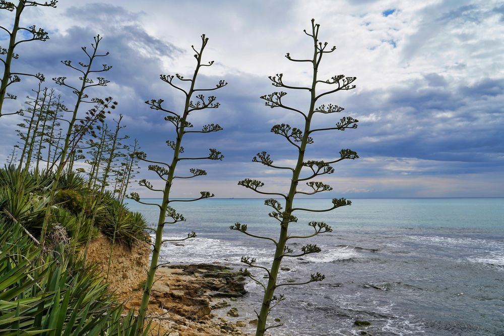 Photograph by Илья Курлин