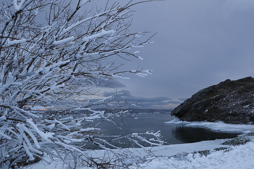 Фотография автора Лариса Кисурина