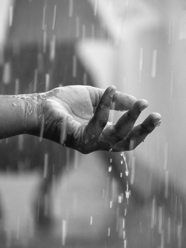 Photograph by Aradanan selva