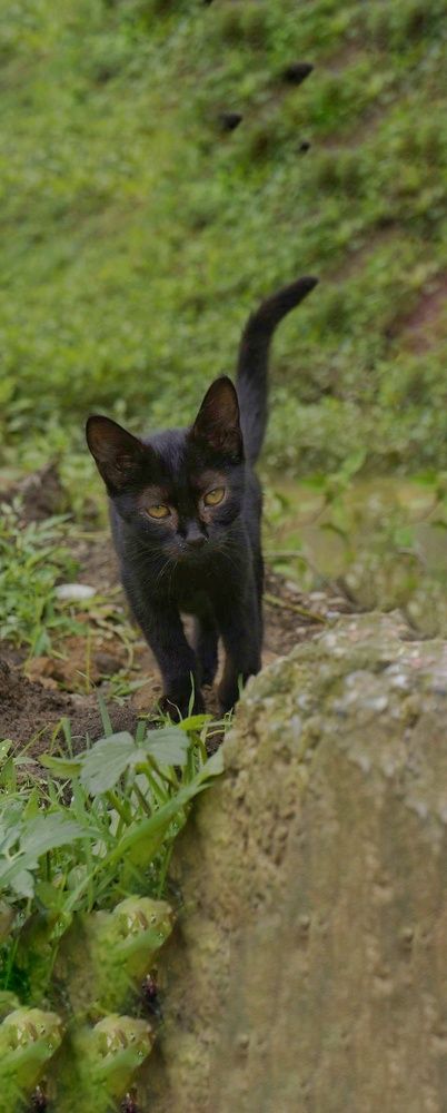 Photograph by Елена