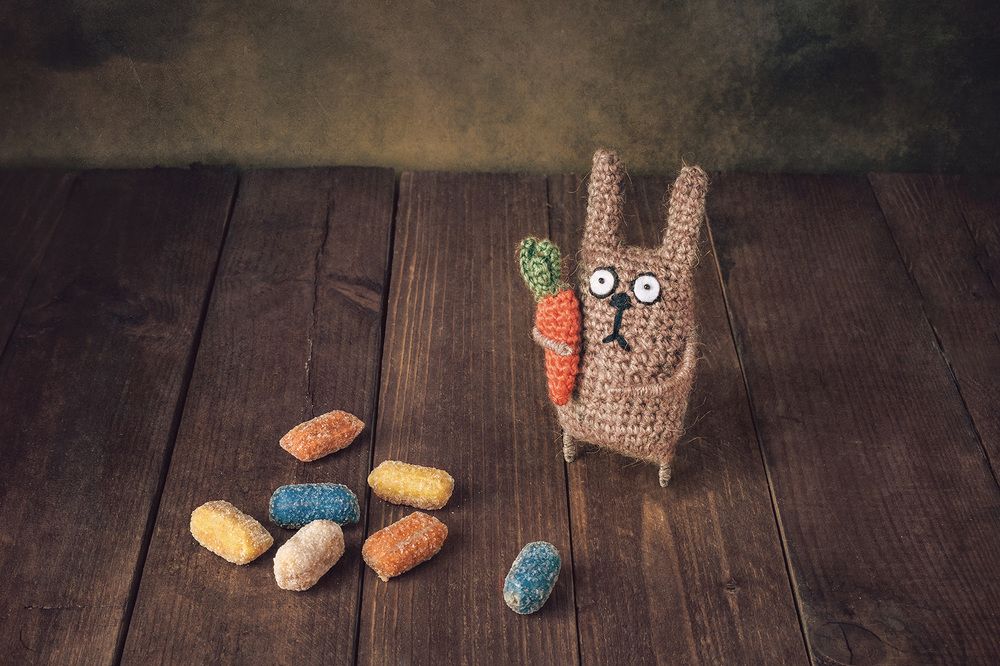 Новогодний заяц/New Year's Bunny