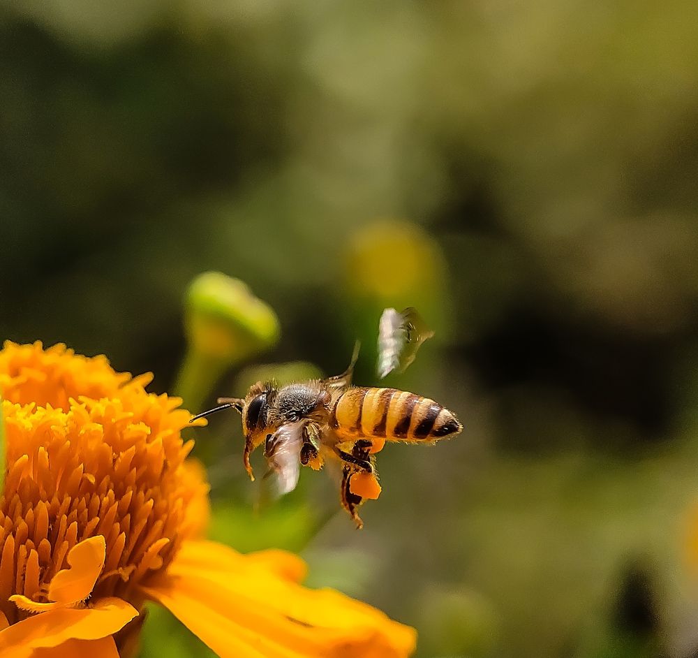 Photograph by Abhipratim Manna