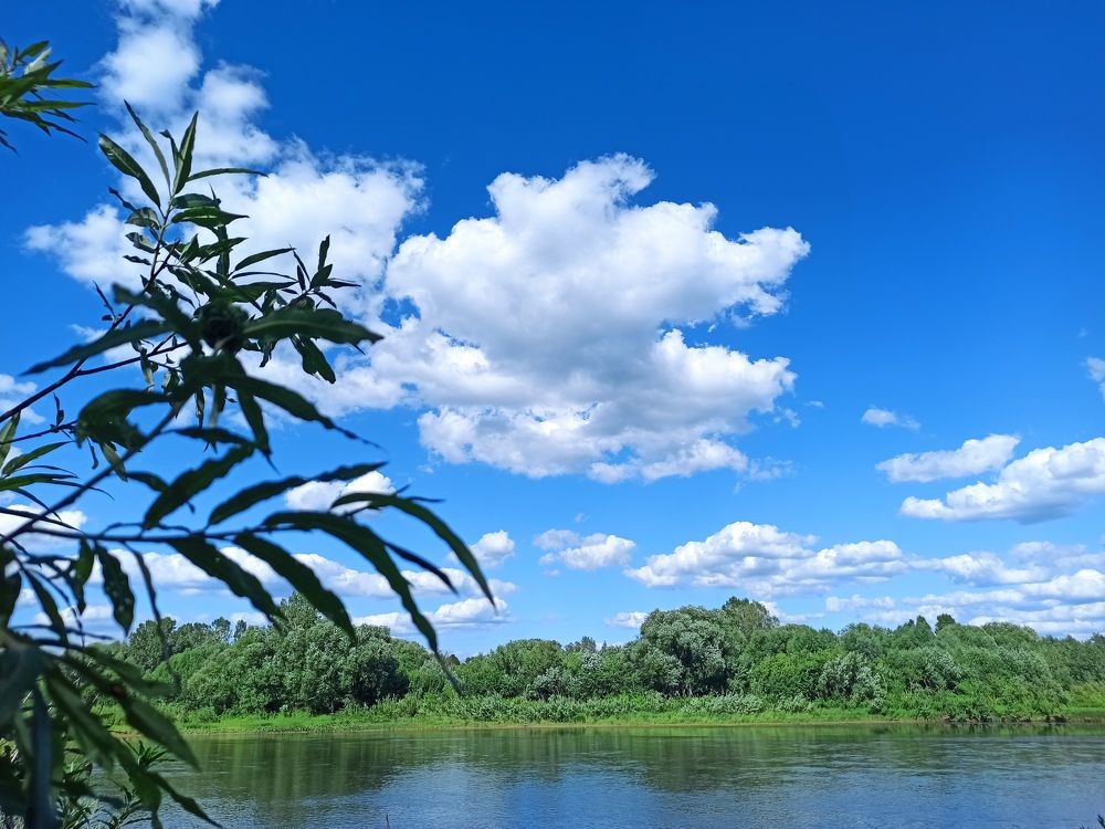 Фотография автора Александр Осинцев