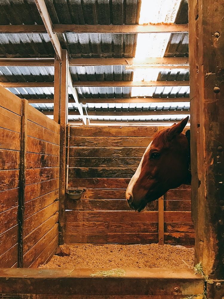 Photograph by Анна Куманцова