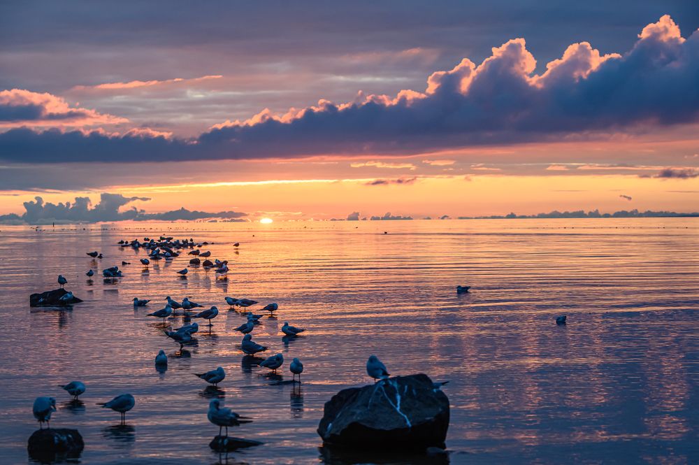 Photograph by Мария Новоселецкая