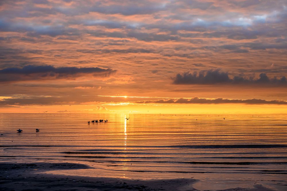 Photograph by Мария Новоселецкая