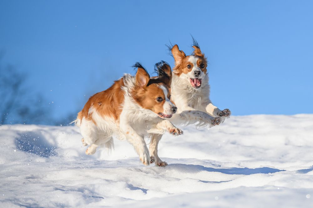 Photograph by Мария Новоселецкая