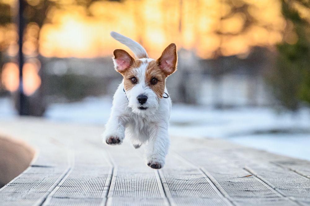 Photograph by Мария Новоселецкая